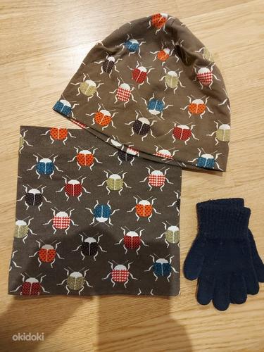 Шапка шарф перчатки, 50/52, 2-3а (фото #1)