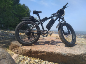 Elektrijalgratas 1000W (2 foto / 9)