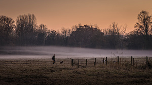 Uueväärne Canon 6D täiskaadri profikaamera (10 foto / 10)