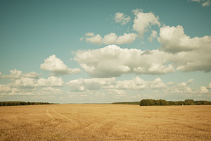 SAMYANG 50MM F/1.2 AS UMC CS FUJI X, UUEVÄÄRNE (8 foto / 8)