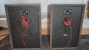 Kõlarid Philips 25 W ja 4 oomi (3 foto / 6)