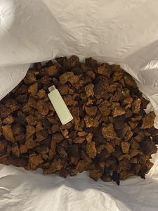 Chaga (3 foto / 4)