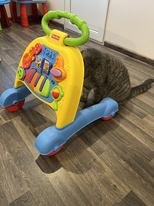 Fisher price käimistugi (1 foto / 2)