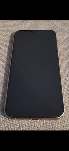 iPhone 16 pro max 256GB (2 foto / 3)