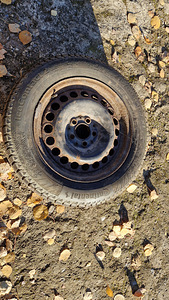 Talverehvid velgedel 215/60/R16 (2 foto / 6)