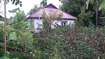 Жилой дом в Могилевке