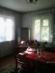 Будинок село, Шестаково (3 фото з 7)