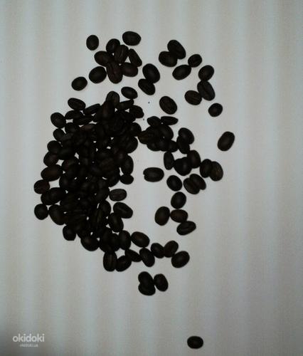 Кофе в зернах Casher Арабика Бразилия Сантос (фото #1)