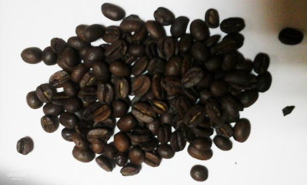 Кофе в зернах Casher Арабика Никарагуа Марагоджип (фото #1)
