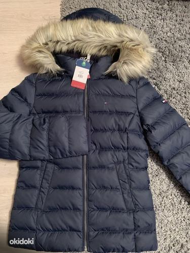 Tommy discount hilfiger jope