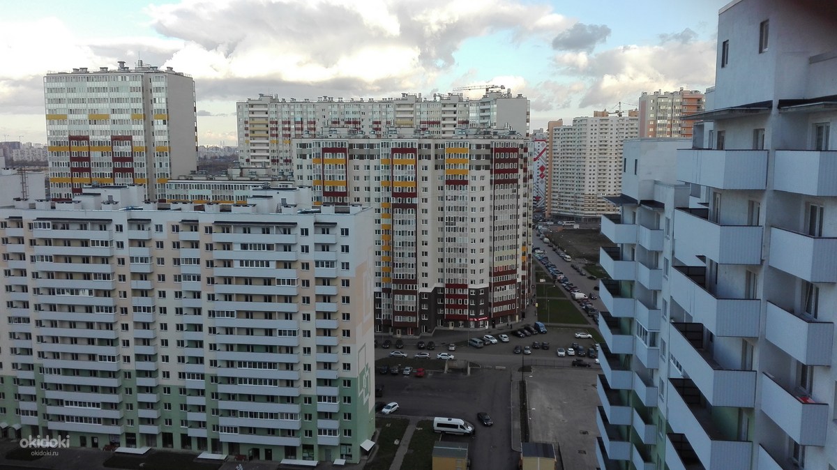 Купить Цветы В Шушарах Санкт Петербург