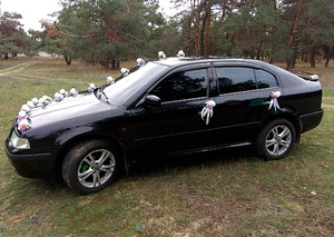 Прокат авто на свадьбу Skoda (3 фото из 3)