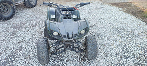 Atv freedo junior 110 cc (3 foto / 4)