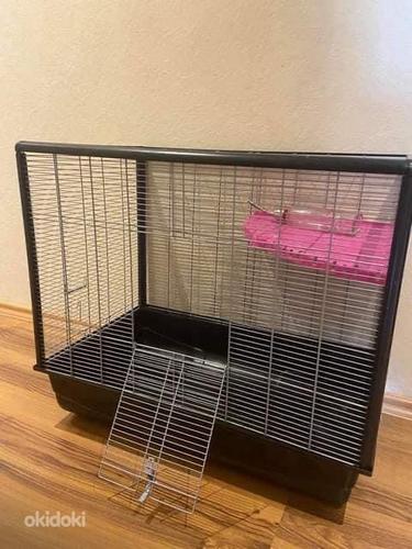 Mahukas kast rottidele / Roomy cage for närilised (foto #2)