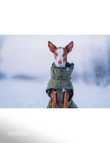 Rukka Pets Warmup mantel koerale s60