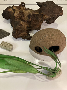 Täis varustus akvaariumile (4 foto / 10)
