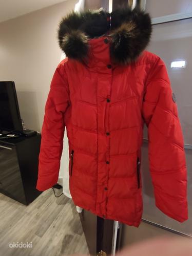 Продам зимнее пальто (фото #2)