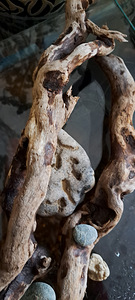 Коряги (6 фото из 9)