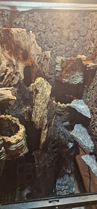 Terraarium paludarium (5 foto / 8)