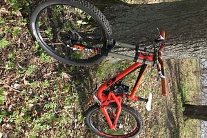 Scott Gambler / DH (6 foto / 6)