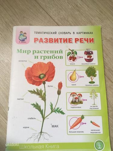 Lasteraamatud vene ja eesti keeles (foto #2)