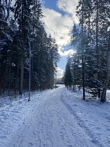Luua keskus 20, Luua, Jõgeva vald, Jõgevamaa (14 foto / 14)