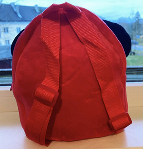 Laste seljakott (2 foto / 4)