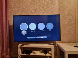 LG 55-tolline Super UHD teler (2 foto / 3)