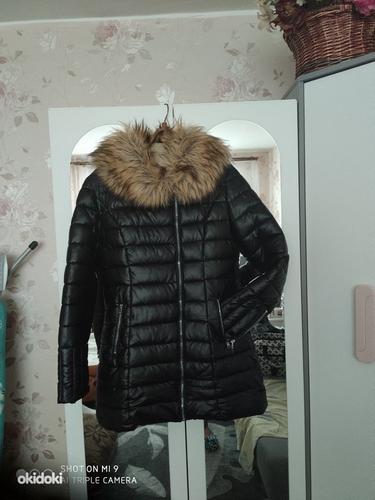 Зимняя куртка в стиле Guess 40 (фото #2)