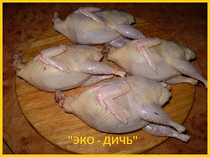 Свежее мясо перепела, тушки с домашней фермы (3 фото из 3)
