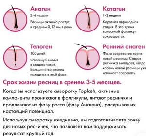 Сыворотка для роста ресниц topLash (2 фото из 2)