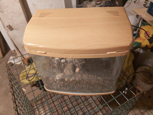Akvaarium 20 l (6 foto / 8)