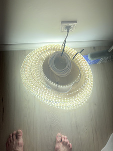 Led lint 30 meetrit (2 foto / 3)
