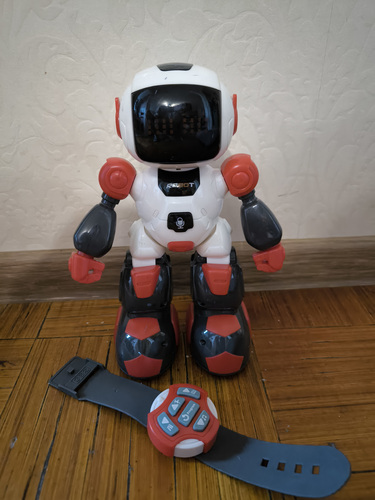 Raadioteel juhitav robot