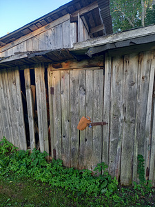Müüa kaks kinnistust ühe hinnaga (3 foto / 14)