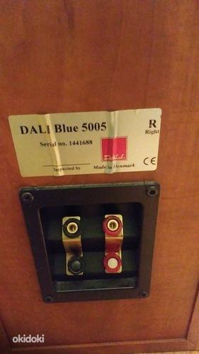Põrandakõlarid Dali 5005 sinised (foto #3)