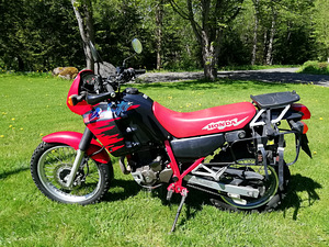 Honda NX250