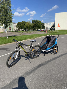 Jalgrattahaagis lastele 2 kohta (1 foto / 8)