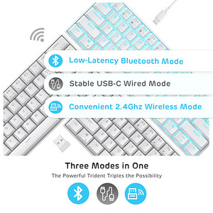 RK61 60% Wireless Mechanical Keyboard (2 foto / 10)