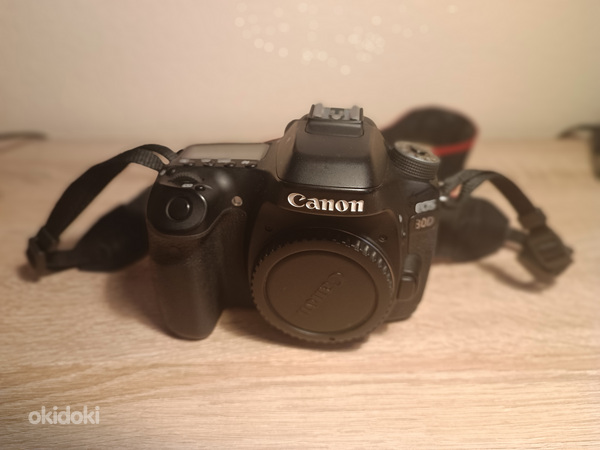 Canon EOS 80D + EF 70-200mm 1:2.8 L IS USM + (foto #1)