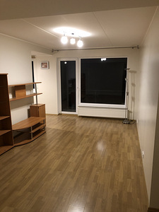 Ремонт квартир Укладка ламината, покраска стен, выравнивание (8 foto / 10)