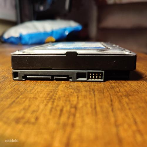 Kõvaketas WD HDD 500GB SATA (foto #3)