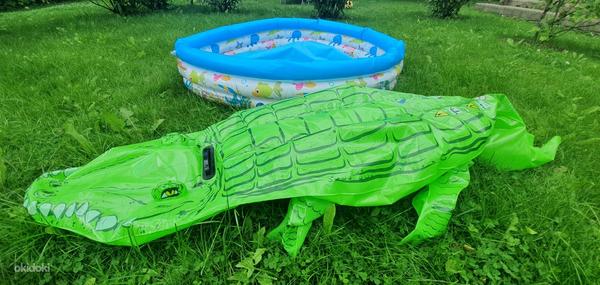 Детский бассейн ~ 1м и надувной крокодил (фото #1)