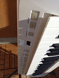 Lavaklaviatuur (keytar) Roland Lucina AX-09 (4 foto / 10)