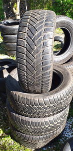 245/55R17 Dunlop (1 foto / 1)