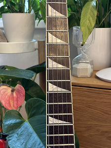 Jackson Pro Series DK2S Dinky 2007 Sustainiac (4 foto / 10)