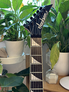 Jackson Pro Series DK2S Dinky 2007 Sustainiac (5 foto / 10)