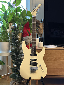 Kramer Focus 6000, изготовленный ESP (1 фото из 4)