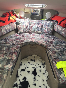 Crownline 210CCP+ Haagis Võimalus maksta osade (5 foto / 10)
