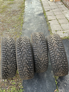 Talverehvid (7 foto / 7)